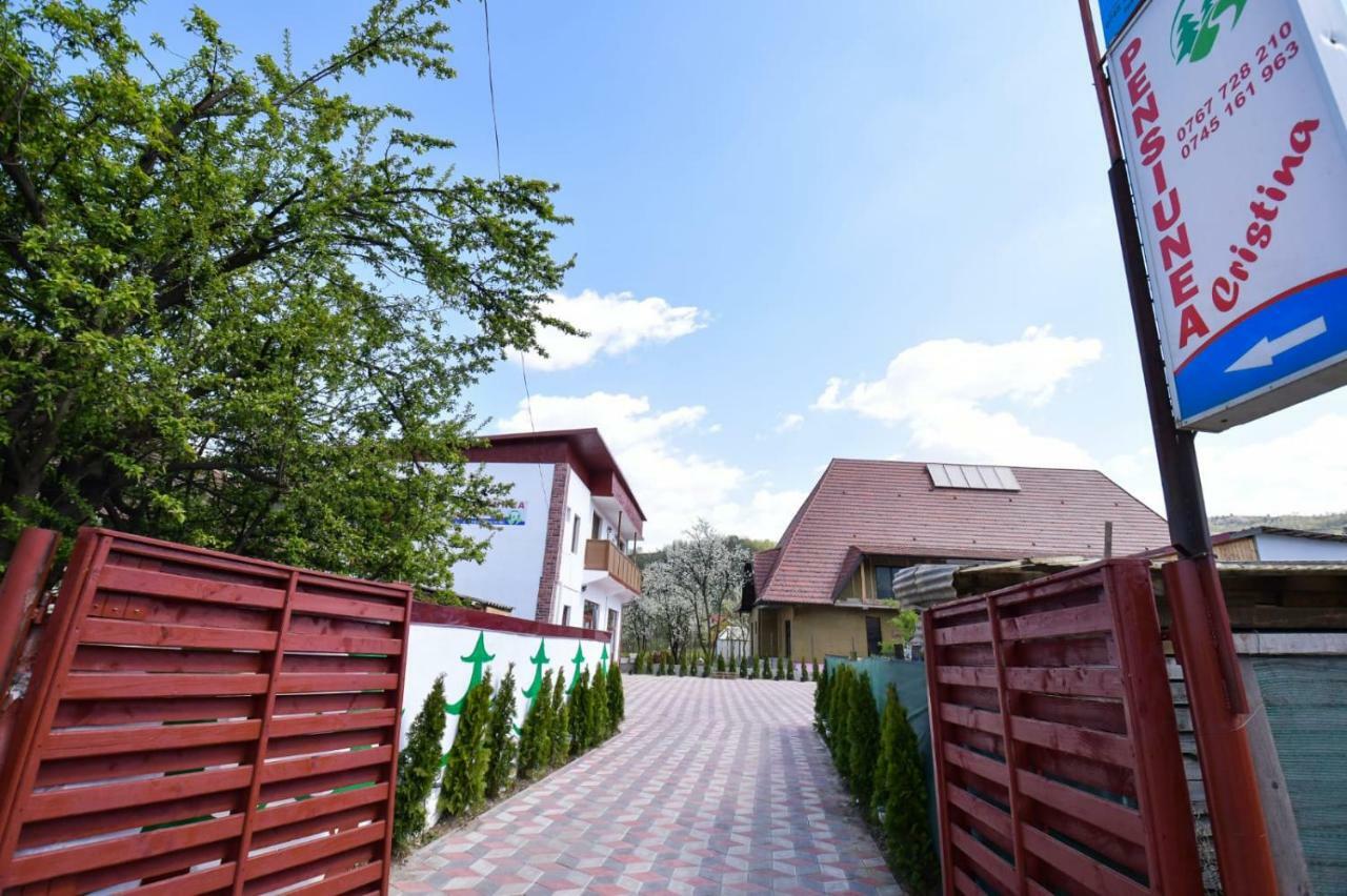 Pensiunea Cristina Vişeu de Sus Dış mekan fotoğraf