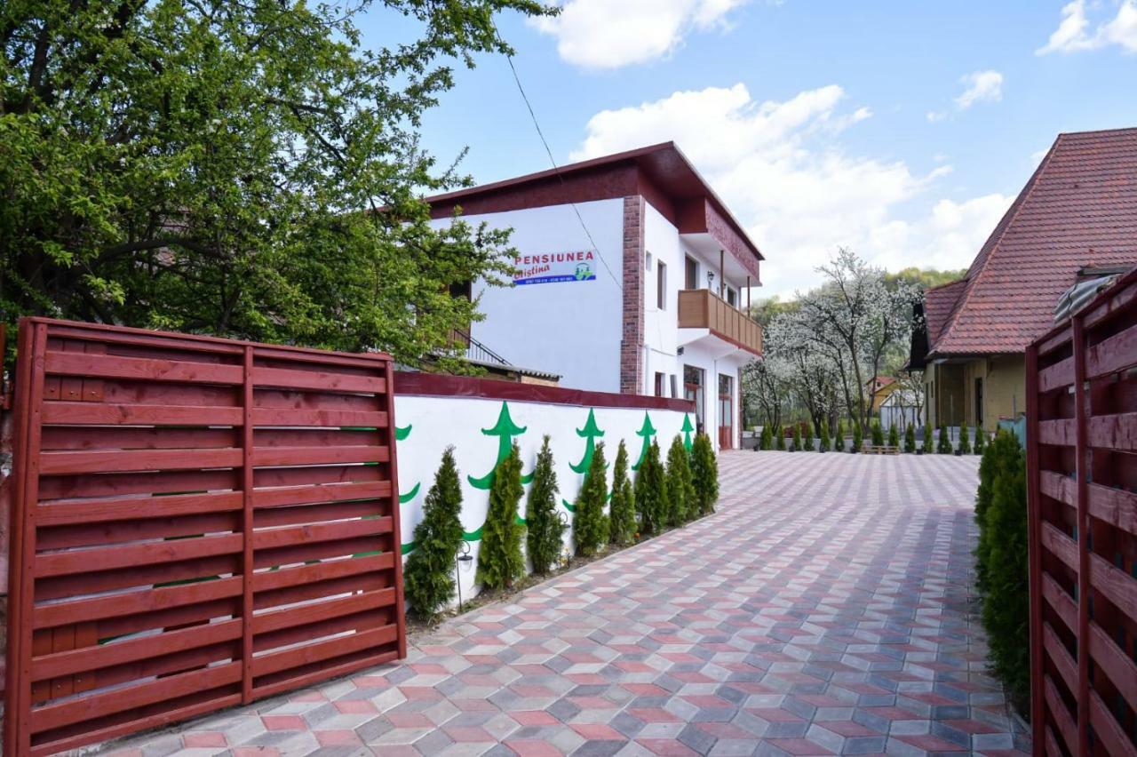 Pensiunea Cristina Vişeu de Sus Dış mekan fotoğraf